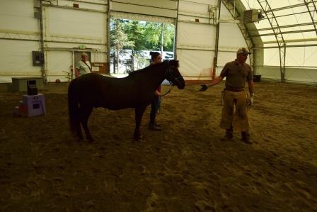 Pete Ramey discussing Tinni
